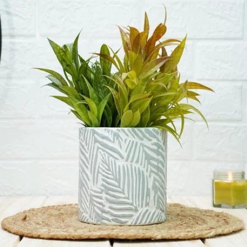 5 Inch Ceramic Polished Planter