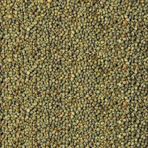 Brown Bajara Seeds