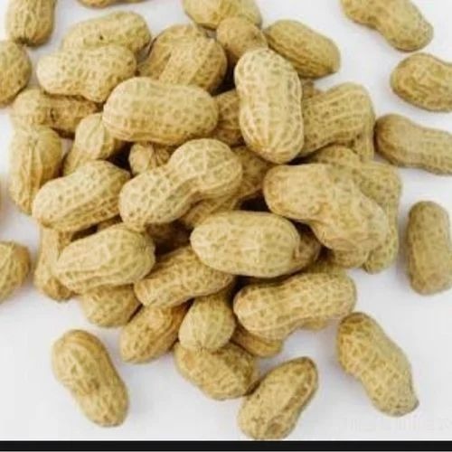 Groundnut Seeds