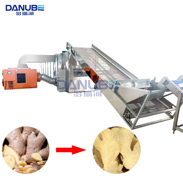 Mesh Belt Dryer Ginger Cleaning Slicing And Drying Line Ginger ...