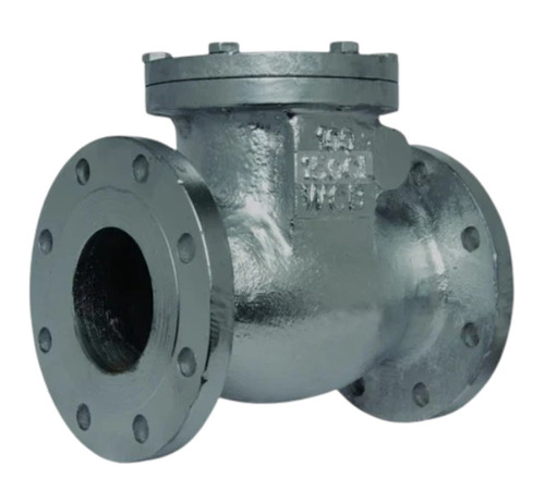 Swing Check Valve