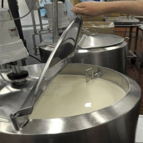Dairy and ice cream plants