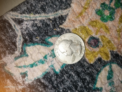 Quarter Dollar of united states of America 1969