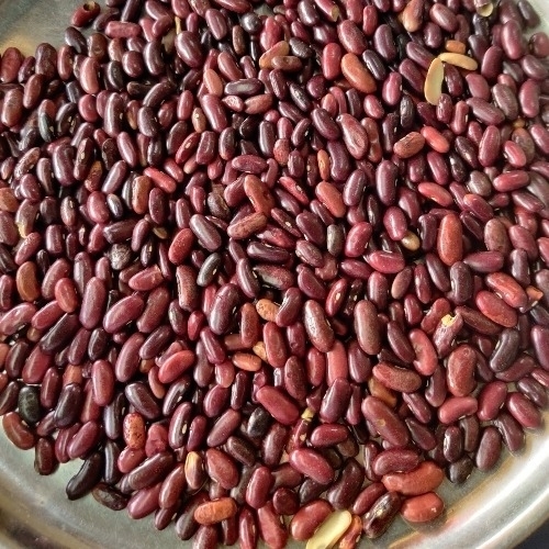 Kidney Beans by Dalzon Agri Biotech Trade Solution