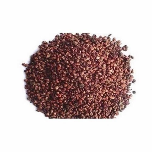Organic Basil Seed