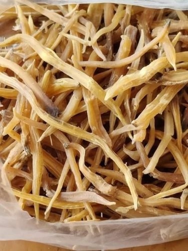 Shatavari Root Yellow