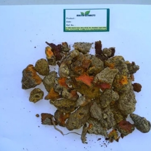 Turmeric Oleoresin 