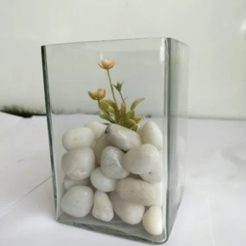 Glass Plants Pots - Glass, Transparent, Rectangular | Light Weight, Crack Resistant, Tested Quality Standards