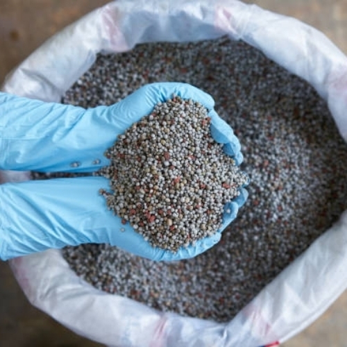Chemical Fertilizer - Brown Granular Nitrogen Rich Phosphate Content | High Nutrients Fast Acting Soil Enrichment