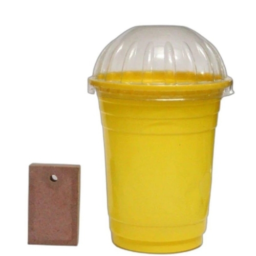 Fruit Fly Pheromone Trap