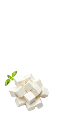 Fresh Paneer