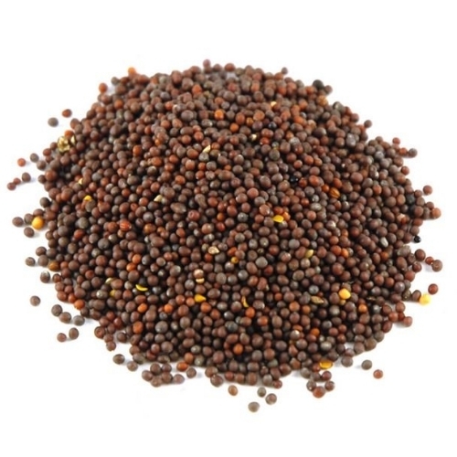 Mustard Seeds