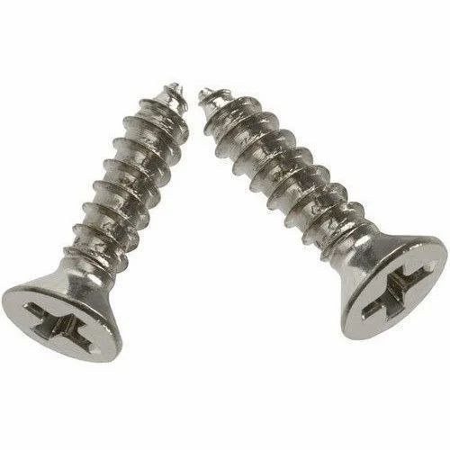 Silver Ms Pan Head Screw