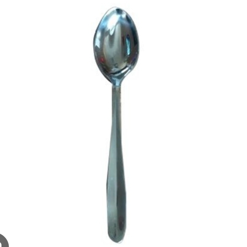 Stainless Steel Spoon