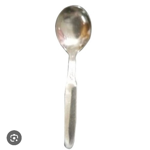 Steel Spoon