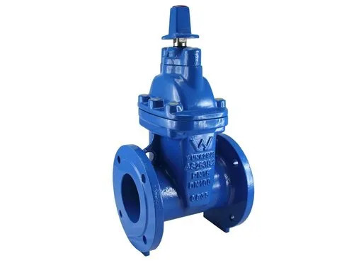 Cast Iron Sluice Valve