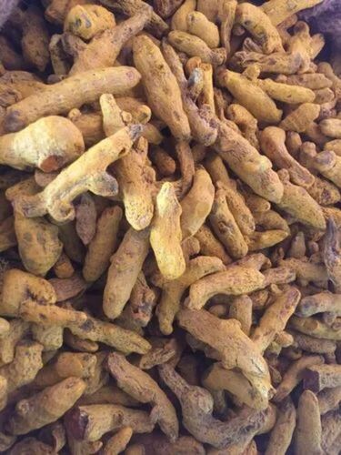 Dried Turmeric Finger
