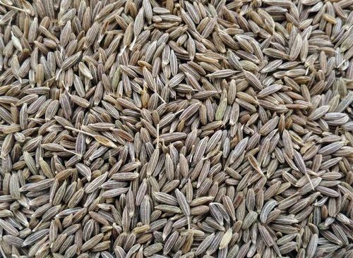 Dry Cumin Seeds