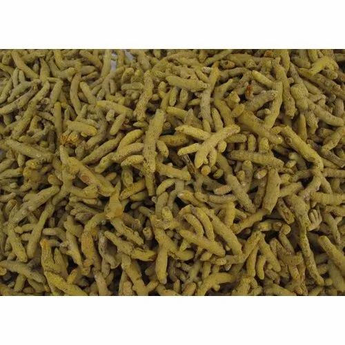 Erode Turmeric Finger