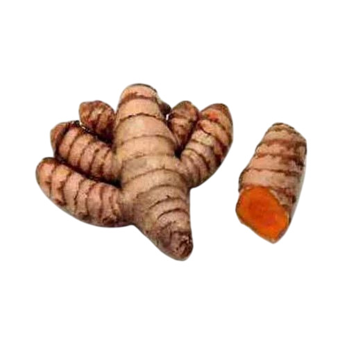 Fresh Turmeric Roots