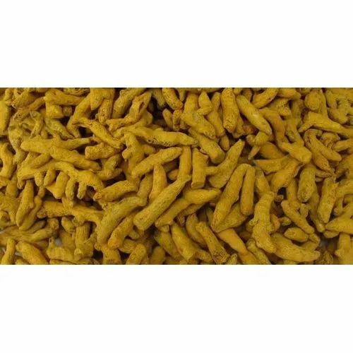 Mini Salem Turmeric Finger