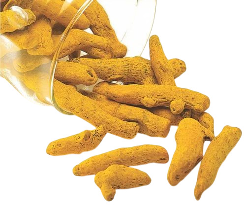 Salem Turmeric Finger