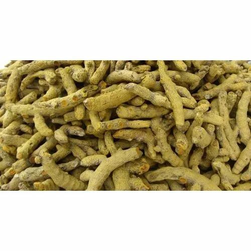 Salem Turmeric Finger