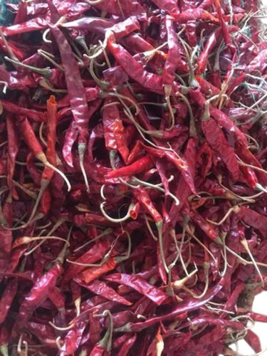 Teja Dry Red Chilli