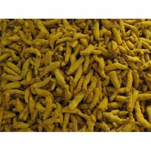 Turmeric Finger