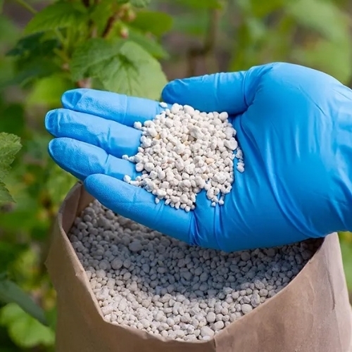 White Agriculture Fertilizer