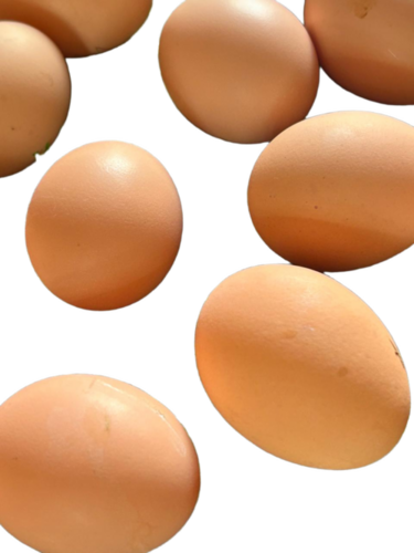 Premium Brown Eggs