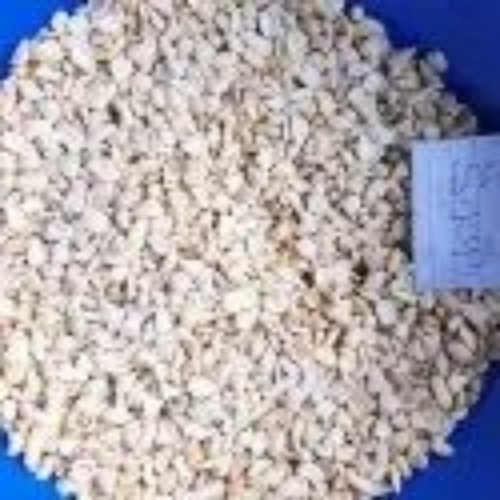 Cashew Kernels Swp