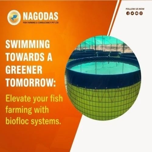 Lucknow Biofloc Fish Farming
