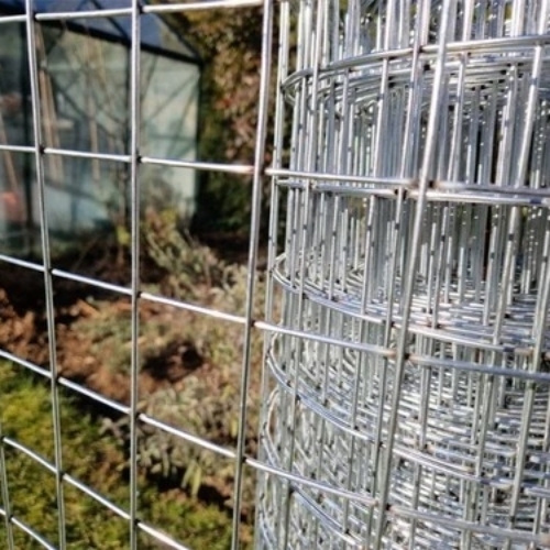 Welded wire mesh