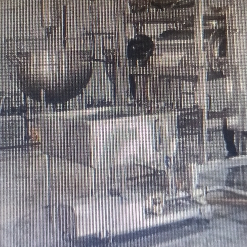Mango pulp making machine