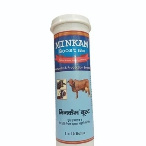 Minikam Boost Bolus - Herbal Veterinary Drug Palatable Formula Fast Acting Energy Booster