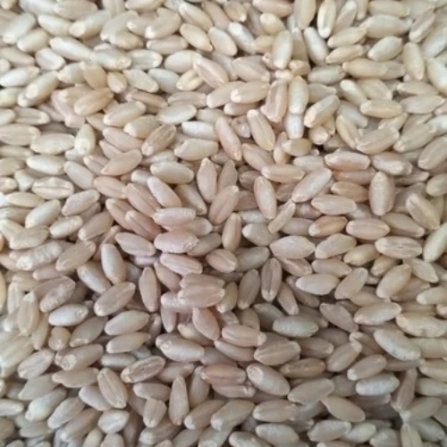 Lokwan Wheat - Whole Wheat Granular