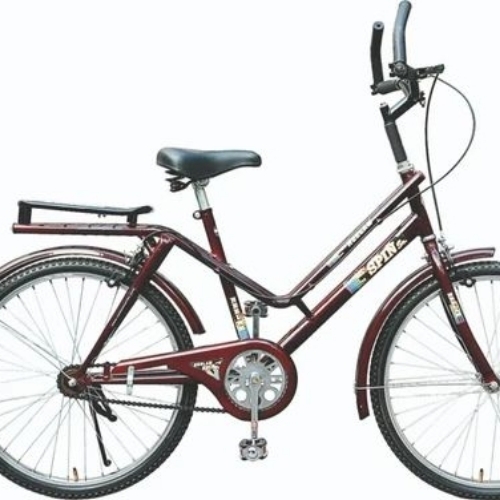 Neelam Spin Jr Kids Bicycle 