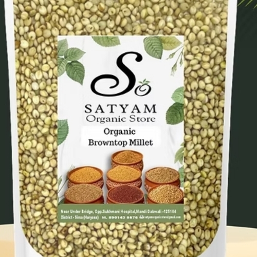 Organic brown top millet