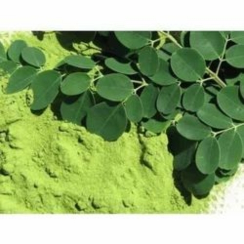 100% Organic Spray Dry Moringa Extract Powder