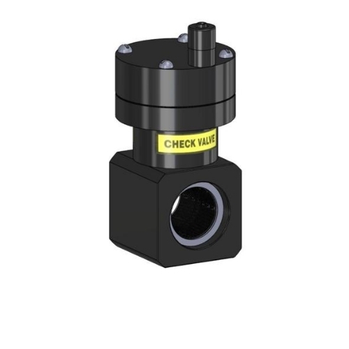 Industrial Check Valves