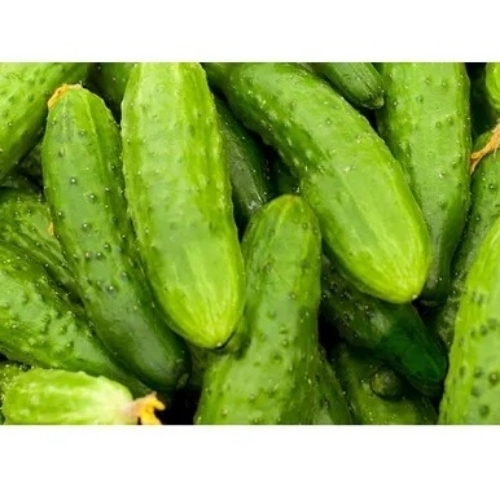 Green Gherkins