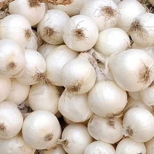 Silverskin Onion - Fresh Silverskin Vegetable, Chopped | Very Good Quality, 1 Month Shelf Life