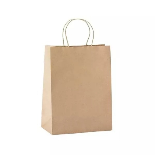 100 Gsm Brown Paper Parcel Bag