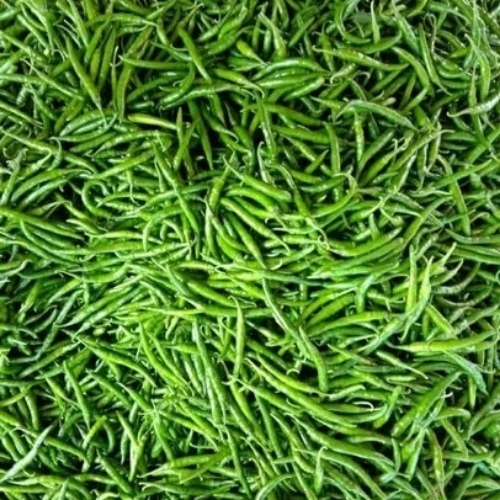 Green Chilli