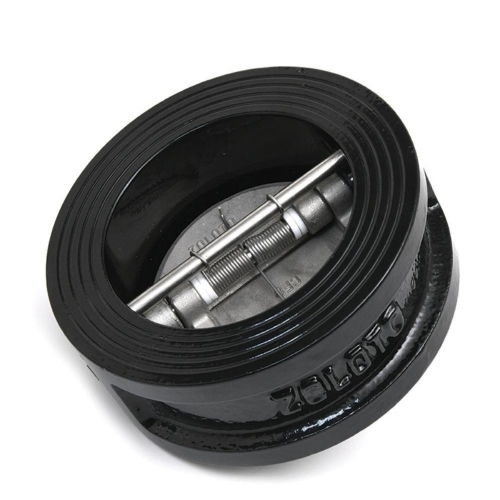 Cast Iron Check Valve