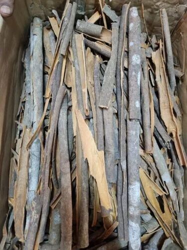 Brown Cinnamon Stick