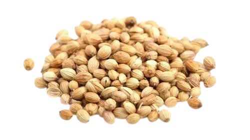 Coriander Seeds - Brown, Natural Drying, Common Cultivation | Grade A, Edible, 1 Year Shelf Life