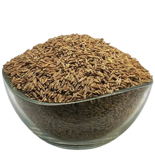 Cumin Seed