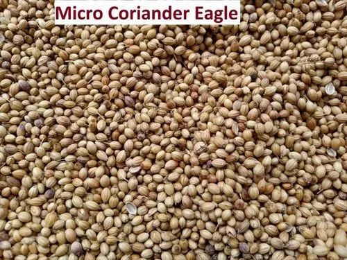 Dried Coriander Seeds